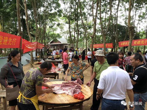 海南消費扶貧銷量榜發布 澄邁位列第三，農副產品貢獻突出