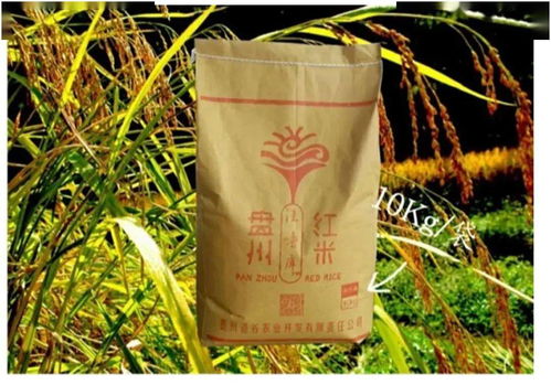 盤州農副產品，碼上買，便捷直達餐桌