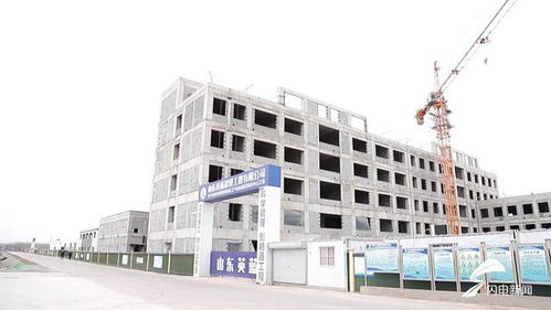 平原縣 聚焦綠色化工與農副產品精深加工，雙輪驅動沖刺百億產值新高地