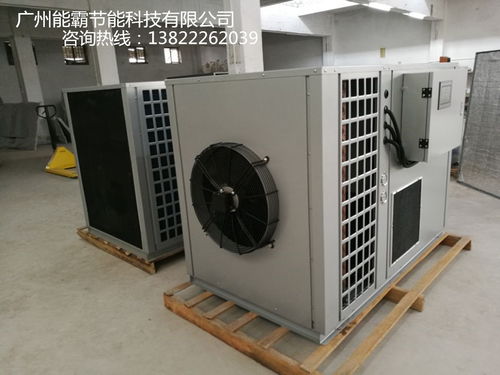 菠蘿片烘干機選購指南 廠家價格、圖片與批發渠道解析